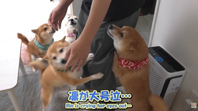 飛びついて熱烈大歓迎！