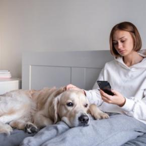 犬の飼い主が無意識にやりがちな『NG行為』5つ 愛犬にストレスや苦痛を与えるタブー行動まで