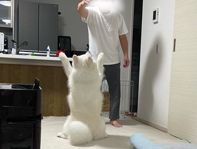 神