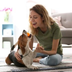 犬が『構ってほしい』と言っているサイン6選 飼い主の気を引こうとしているときにする行動とは?