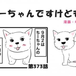 ちーちゃんですけどもっ【第373話】「お盆に帰りましたけどもっ」