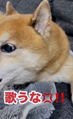 パパの歌に激怒!!