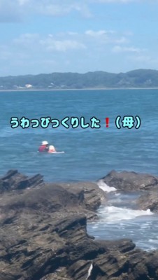 泳いで女性のところにやってきた犬
