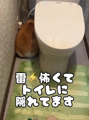 なんとトイレの中!!