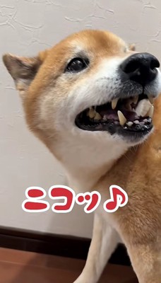 そのギャップがたまらない!?