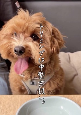 笑顔全開!