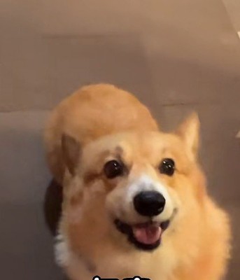最後にはニッコリ