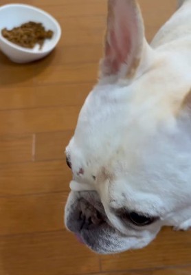 「ご飯の残りは!?」