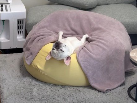 反省の色なし!?