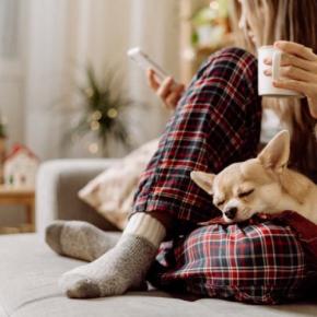 犬が飼い主に『くっついてくる』心理5選　離れようとしないのはなぜ？飼い主がすべき対応まで