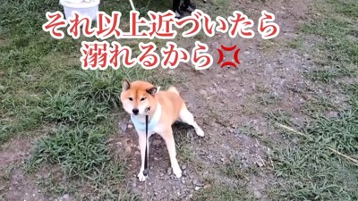 全力で拒否!