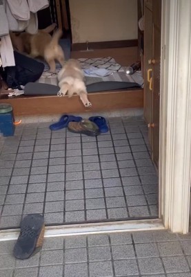 かわいいお尻にキュン♡