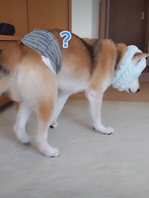 「？？」