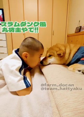 家族のアイドルです！