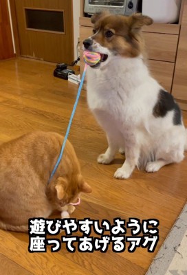 おもちゃで遊ぶふたり