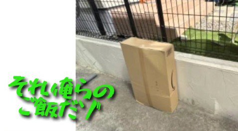 荷物だけじゃなかった
