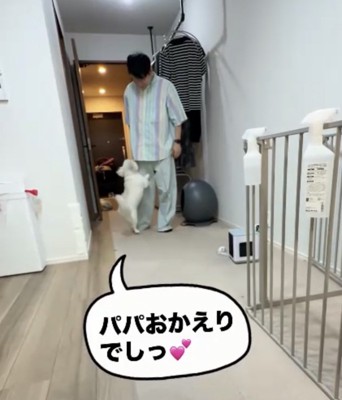 パパをお出迎え