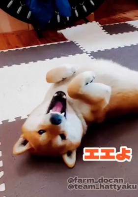 とっても甘え上手♡