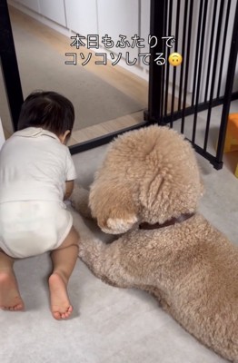 犬のそばで体を起こす男の子