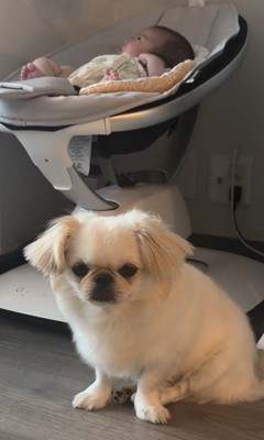 いつも赤ちゃんのそばに！
