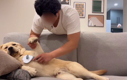 堂々たるリラックス