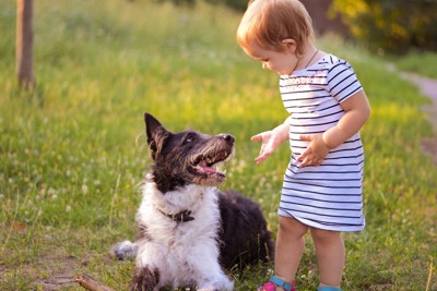 犬に話しかける女の子