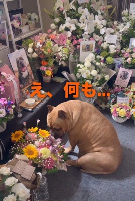 「え、何も…」