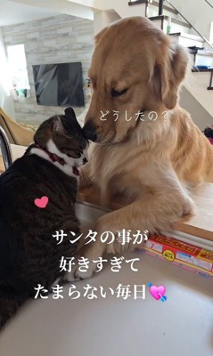 ルナちゃんが「好き！」とアピール