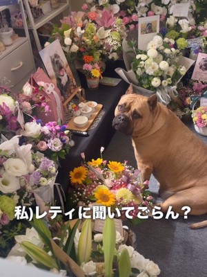 「レティちゃんに聞いてみな」