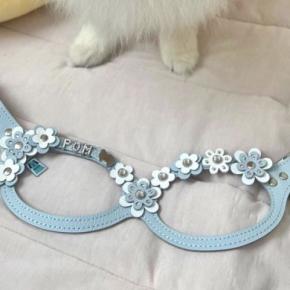 奮発して『1万8000円のハーネス』を犬につけた結果→『可愛い柄だな』と思ったら…『まさかの展開』に爆笑「一生懸命見せてくれるの可愛いw」
