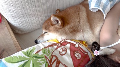 幸せそうな寝顔♪
