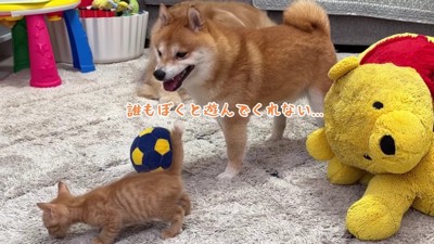 「誰も遊んでくれない…」