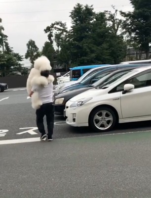 犬を抱っこするパパ