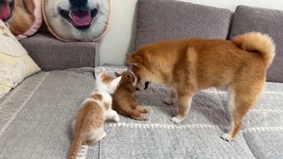「混ぜてほしいな」