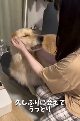友人に顔まわりを撫でてもらう麹くん
