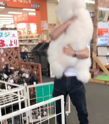 抱っこされる犬