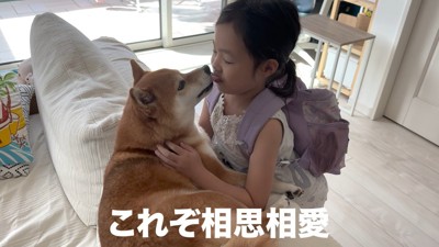 「いってらっしゃい」と優しくペロペロ