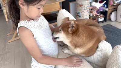 服をペロペロ舐めて愛情表現