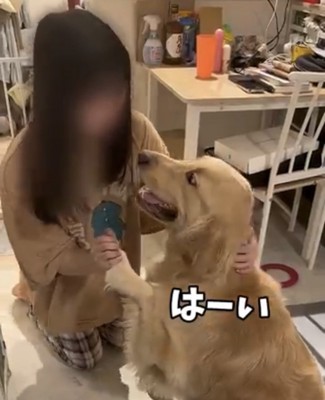 友人を見上げながら前足を差し出す麹くん