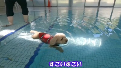 少し慣れてきたようです♪