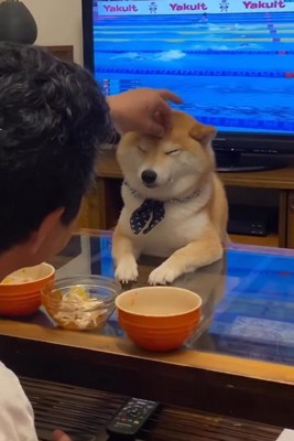 仲睦まじいふたり