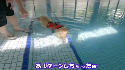 「怖いよ~っ」とUターン
