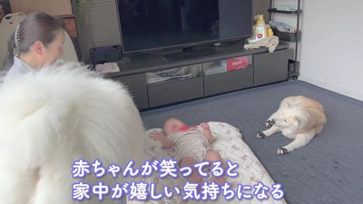 平和な時間が流れます