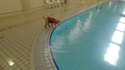 ボールを拾おうとして…