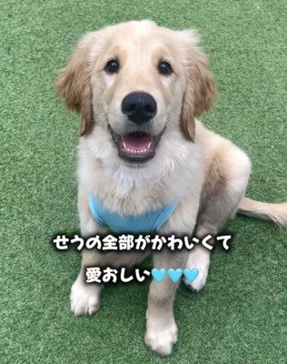 愛情をたっぷり注がれるせうちゃん