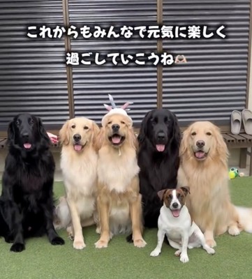 笑顔全開の幸せな毎日