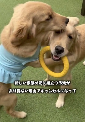 遊びも全力!