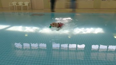 ボールをパクっとくわえて…