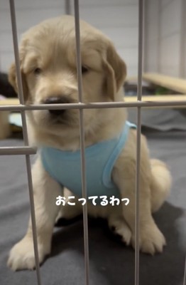 右手を床にダンッ!
