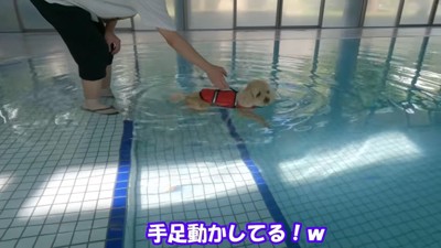 足がつかない場所に連れて行くと…